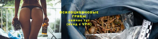 Альфа ПВП Богородицк