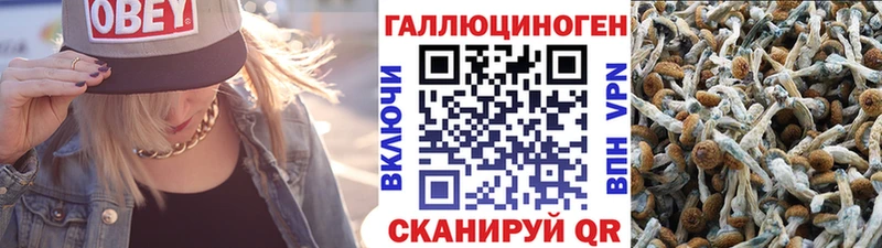 Галлюциногенные грибы прущие грибы  Троицк 